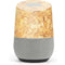 Sneakerhead Shine Google Home Skin